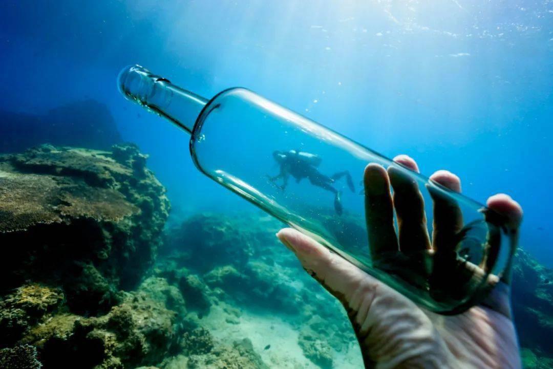 蓟是什么植物?主要价值是什么?-专注问答,解决你的问题