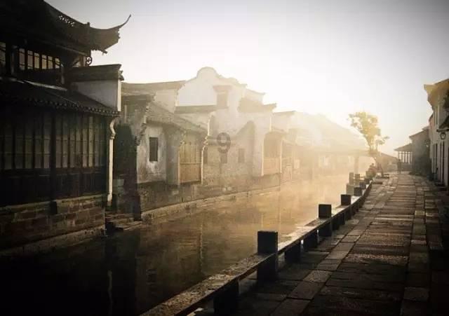动物帮帮忙保卫家园